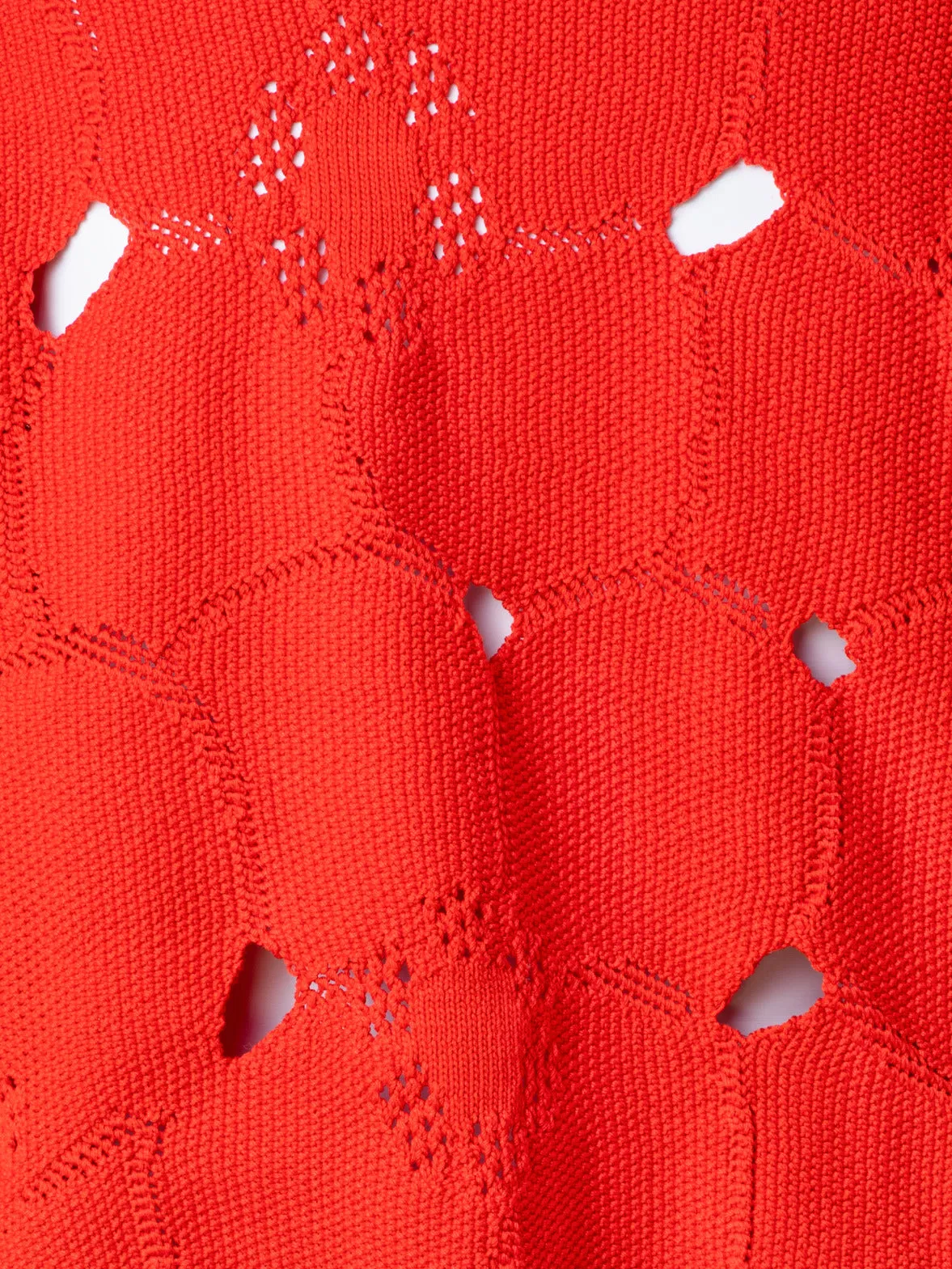 Cotton Stretch Knit Anemone Jacquard Sweater
